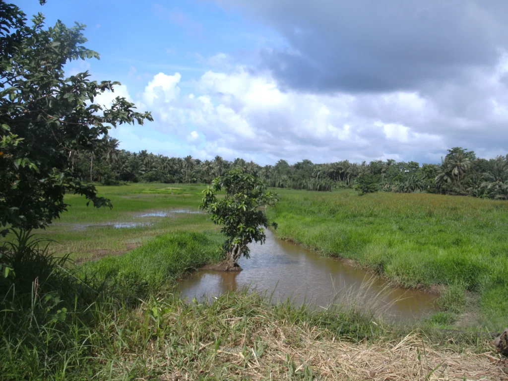 BILD0307-scaled-e1764028589884