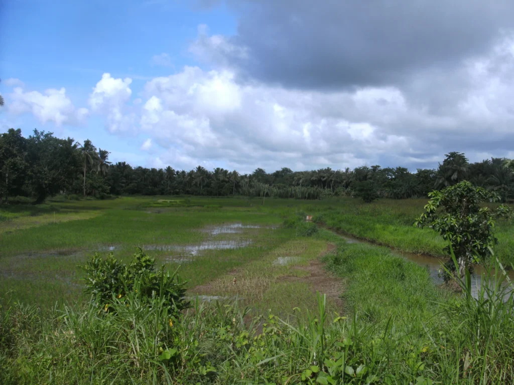 BILD0314-scaled-e1764031312183