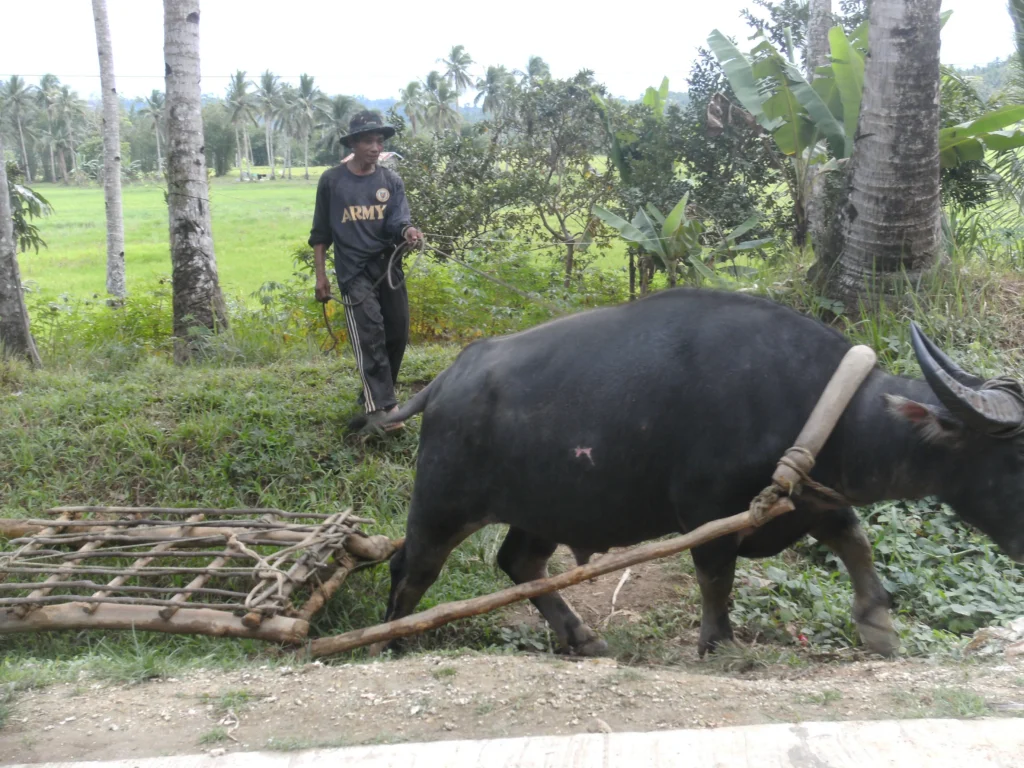 Besuch-Mama-Papa-James-1155-scaled-e1764030348842