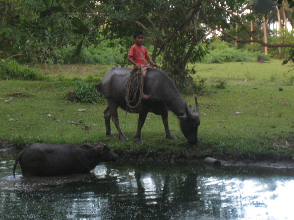 IMG_2646-e1764031279175