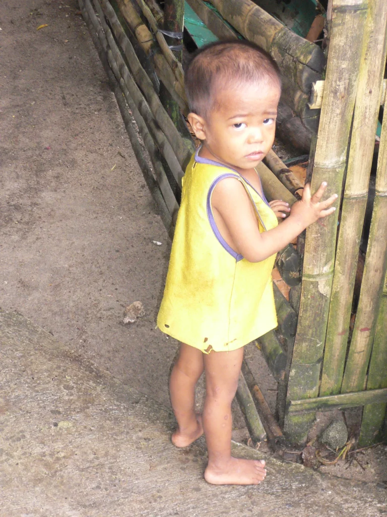 Island-296-e1763998373724