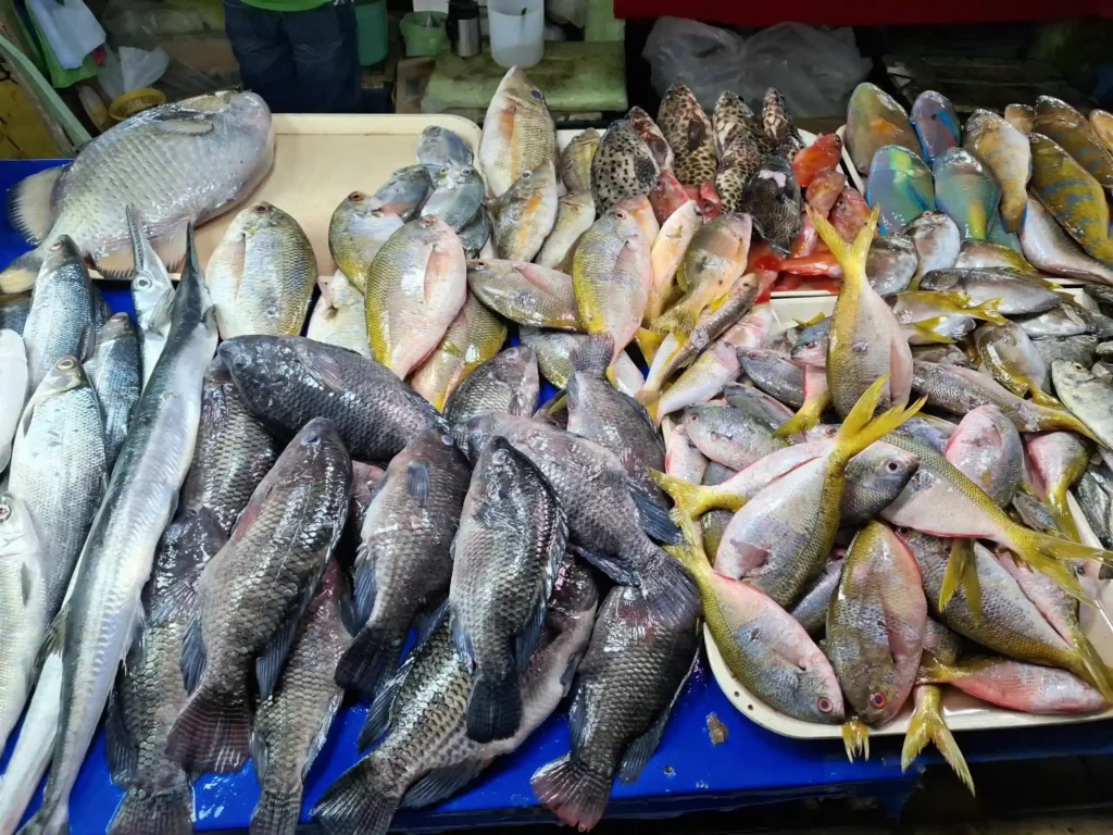 20250327_170947-scaled-1