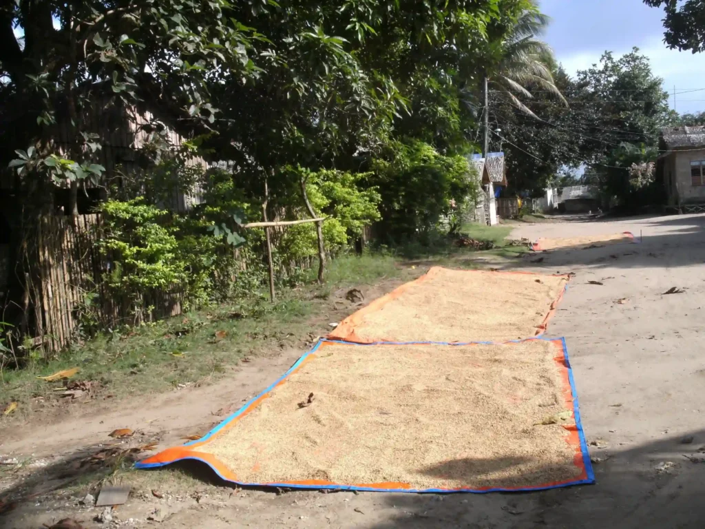 Medical-Surgical-Mission-2010-2-115-scaled-1